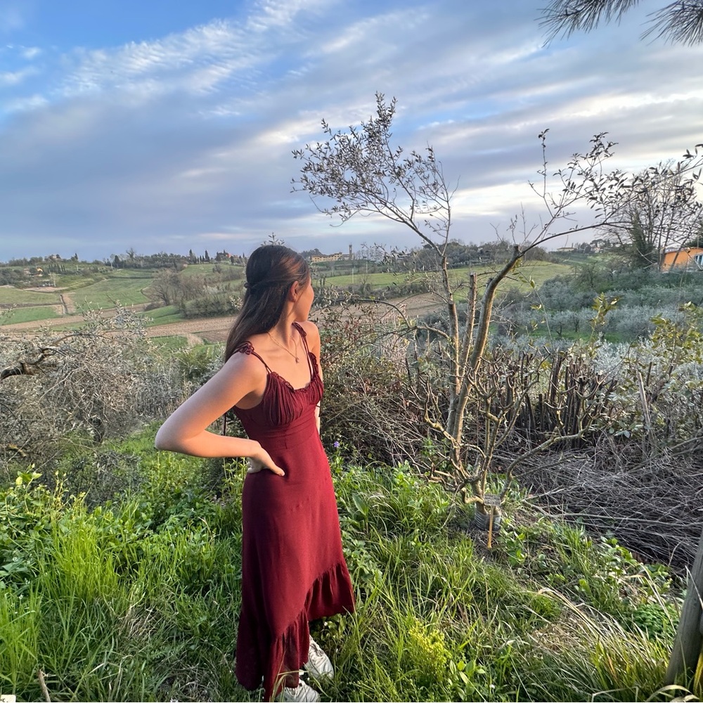 Reformation Burgundy Dress